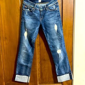 Womens Hudson cropped distressed jean size 28